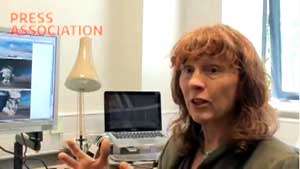PressAssociation2011